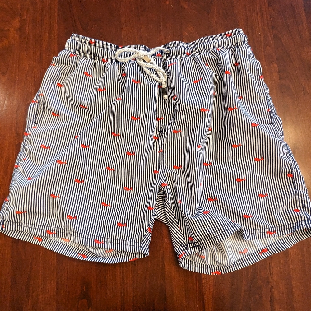 Exist Swim men's swim trunks beach shorts. Size medium